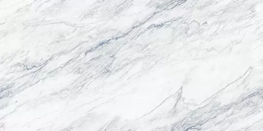 Fame-Ice