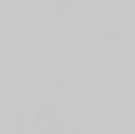 Plain Steel Grey (Matt)