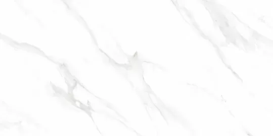 Gerbera-Statuario
