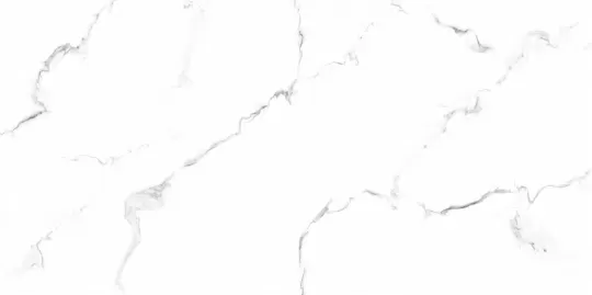 Safari-Statuario