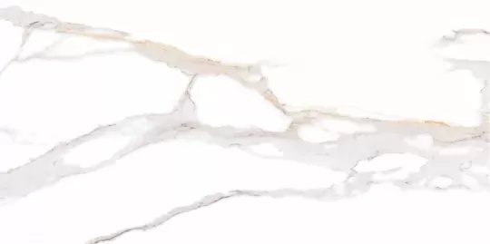 Signerio-Statuario