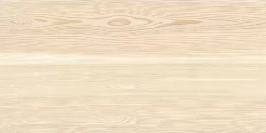 Birch-Wood