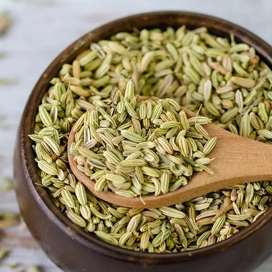 Fennel Seeds