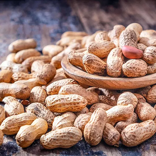 Groundnut Kernels